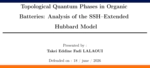 Fadi Graduates with a Master's in Theoretical Physics: From Topology to Organic Batteries